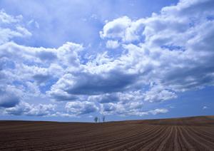 浅草でのあたらしいスタイルのお墓